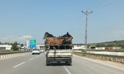 Mustafakemalpaşa’da 5 atlı yolculuk ulusal basında!