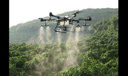Sivrisineklerin korkulu rüyası Bursa Büyükşehir ‘drone’ları