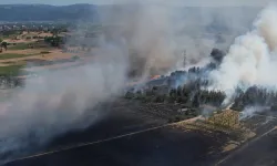 Bursa Valiliği Karar Aldı! Ormanlara Giriş Yasaklandı