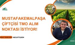 Necati İldem Yazdı: Mustafakemalpaşa Çiftçisi TMO alım noktası istiyor!