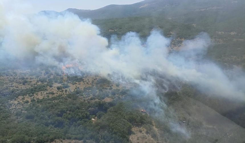 Mustafakemalpaşa’nın komşu köyünde orman yangını