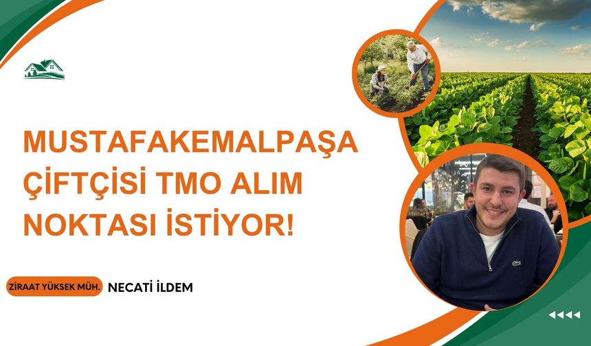 Necati İldem Yazdı: Mustafakemalpaşa Çiftçisi TMO alım noktası istiyor!