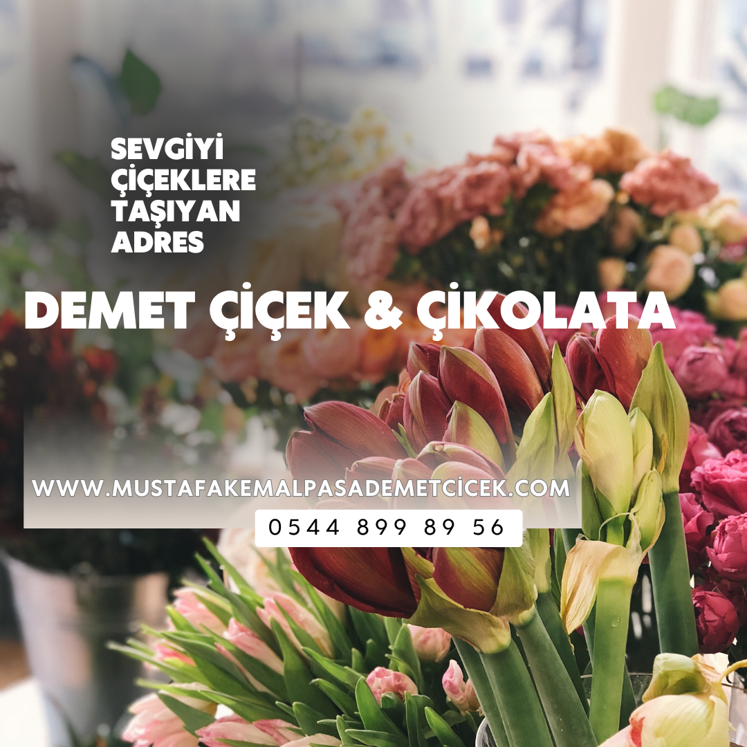 reklam77_desktop